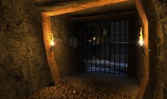 Dreamfall: The Longest Journey screenshot 11