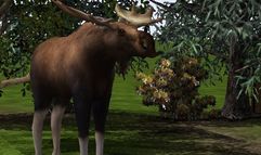 Wildlife Park 2 screenshot 7