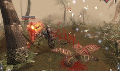 Dawn of Magic screenshot 13