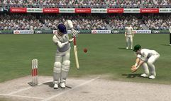 Cricket 07 screenshot 3
