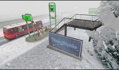 Bus Driver screenshot 13