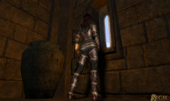 Vanguard: Saga of Heroes screenshot 4