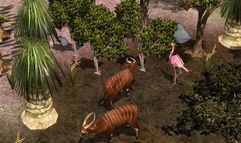 Wildlife Park 2 screenshot 1