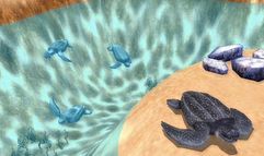 Marine Park Empire screenshot 2