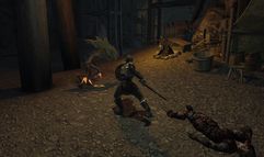 Divine Divinity II: Ego Draconis screenshot 3