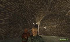 Mount & Blade screenshot 4