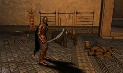 Vanguard: Saga of Heroes screenshot 3