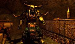 Sacred 2: Fallen Angel screenshot 8
