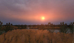S.T.A.L.K.E.R.: Shadow of Chernobyl screenshot 38
