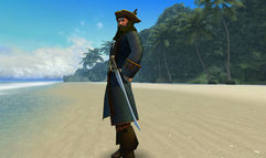 Pirates of the Burning Sea screenshot 3