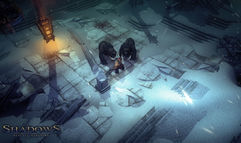 Shadows: Heretic Kingdoms screenshot 2