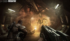 Aliens vs. Predator screenshot 3