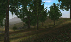 Lineage II: The Chaotic Chronicle screenshot 31