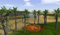 Caesar IV screenshot 9
