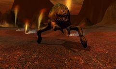 Star Wars Galaxies: Trials Of Obi-Wan screenshot 11