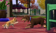 The Sims 3: Pets screenshot 3