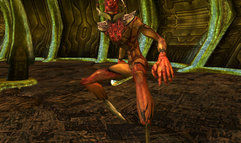 Tabula Rasa screenshot 9