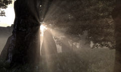 Elveon screenshot 12