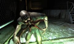 S.T.A.L.K.E.R.: Shadow of Chernobyl screenshot 5