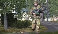 Armed Assault screenshot 7