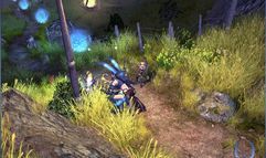 Sacred 2: Fallen Angel screenshot 5