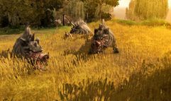Neverwinter Nights 2 screenshot 12