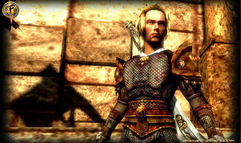 Fury screenshot 1
