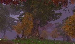 Thrones of Chaos screenshot 14