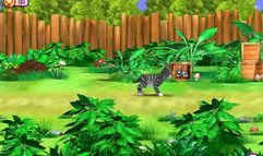 I Love Kittens! screenshot 3