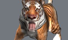 Wildlife Park 2 screenshot 1