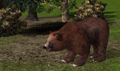 Wildlife Park 2 screenshot 6