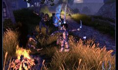 Sacred 2: Fallen Angel screenshot 2