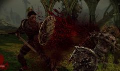 Dragon Age: Origins screenshot 8