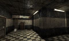 Penumbra: Black Plague screenshot 6