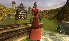 Asheron's Call 2: Legions screenshot 2
