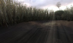 S.T.A.L.K.E.R.: Clear Sky screenshot 7