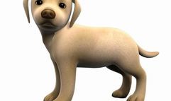 I Love Puppies! screenshot 1