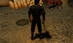 Vanguard: Saga of Heroes screenshot 1
