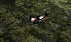 Universal Combat: Hold the Line screenshot 33