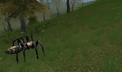 Age of Mourning screenshot 24