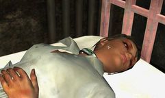 Still Life 2 screenshot 5