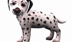 I Love Puppies! screenshot 2