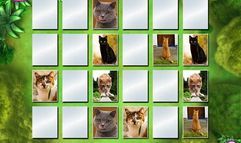 I Love Kittens! screenshot 8