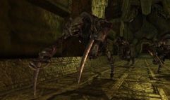 Dragon Age: Origins screenshot 3