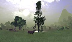 Vanguard: Saga of Heroes screenshot 5