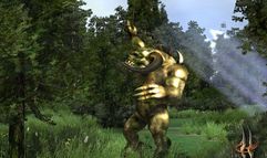 Two Worlds screenshot 2