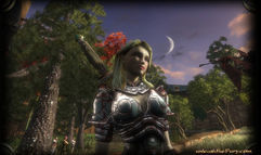 Fury screenshot 2