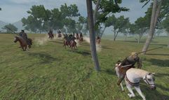 Mount & Blade screenshot 3