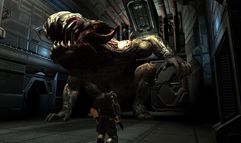 Collapse screenshot 3