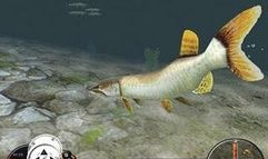 In-Fisherman: Freshwater Trophies screenshot 1